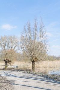 Kromslootpark - Almere