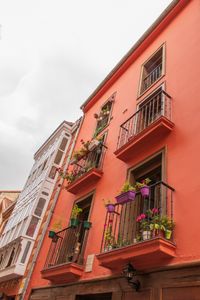 Casco Viego Vitoria Gasteiz